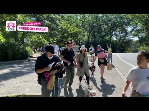 Toronto Freedom walk