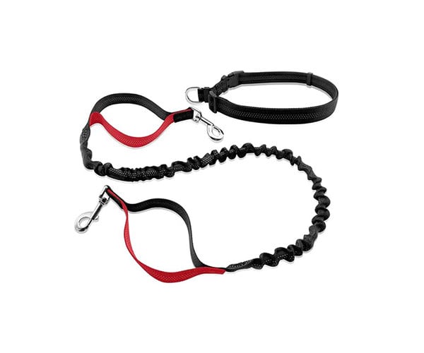 Bungee Leash 3