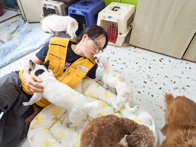 Ek With Rescue Dogs