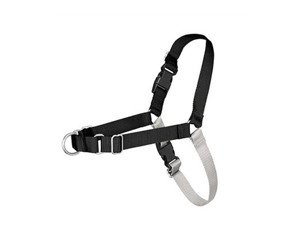 Easy Walk Harness 2