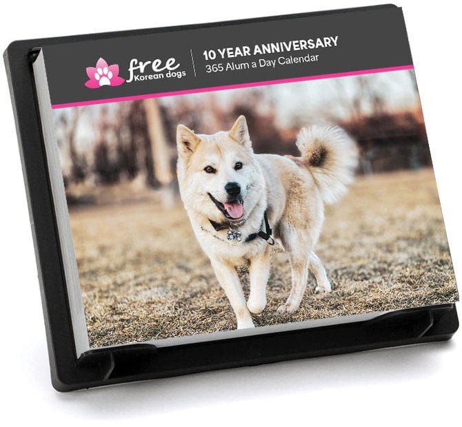 Free Korean Dogs Calendar 2025 First Page
