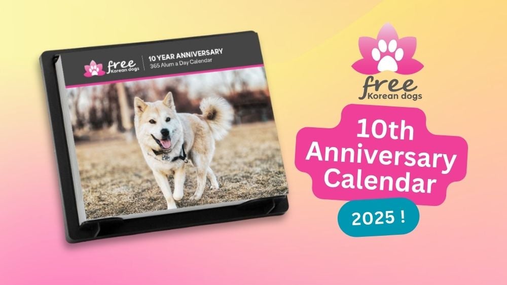 Free Korean Dogs 10th Anniversary Calendar
