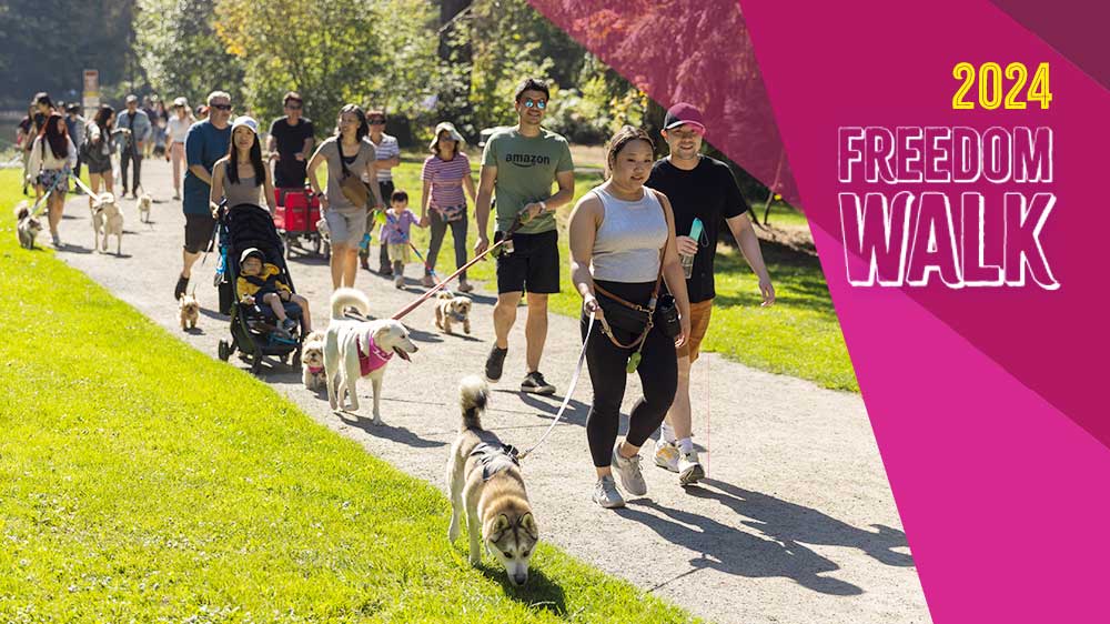 Walk for Freedom: Join Free Korean Dogs’ 6th Annual Freedom Walk