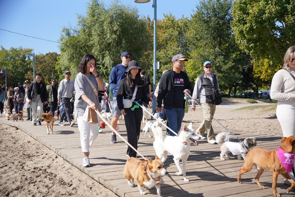 Freedom Walk Toronto 2024 027