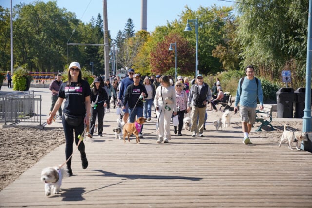 Freedom Walk Toronto 2024 030