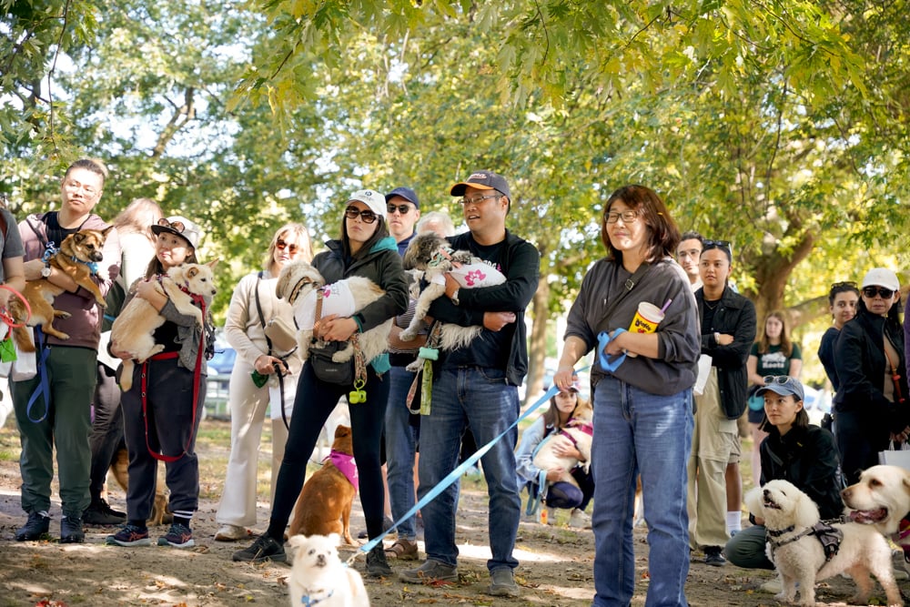 Freedom Walk Toronto 2024 038