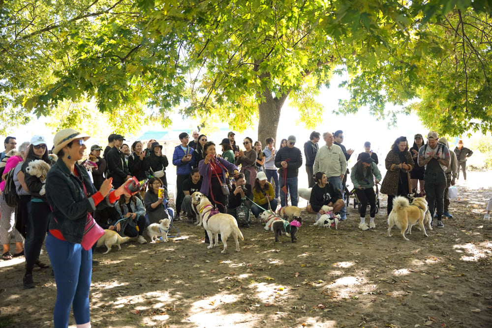 Freedom Walk Toronto 2024 046