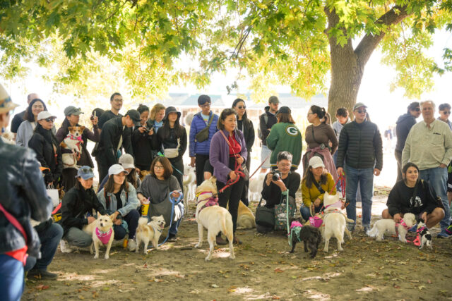 Freedom Walk Toronto 2024 050