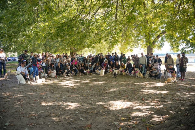 Freedom Walk Toronto 2024 053