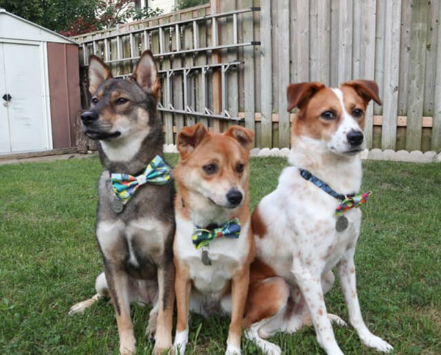 Mimi, Bokdong & Samdong, Toronto 2018