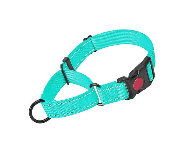 Martingale Collar