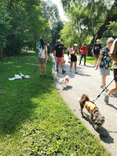 Toronto Pack Walk 2024 6