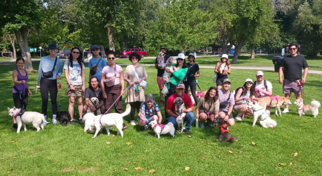 Toronto Pack Walk 2024