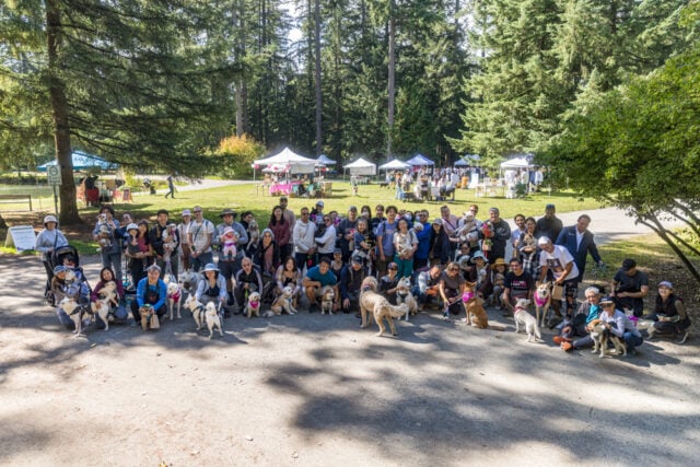 Vancouver Freedom Walk 2024