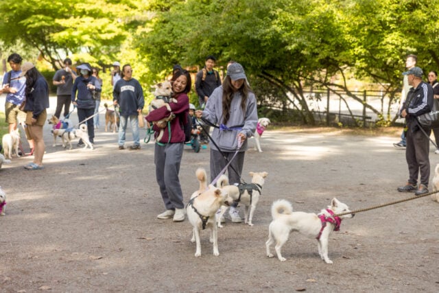 Vancouver Freedom Walk 2024