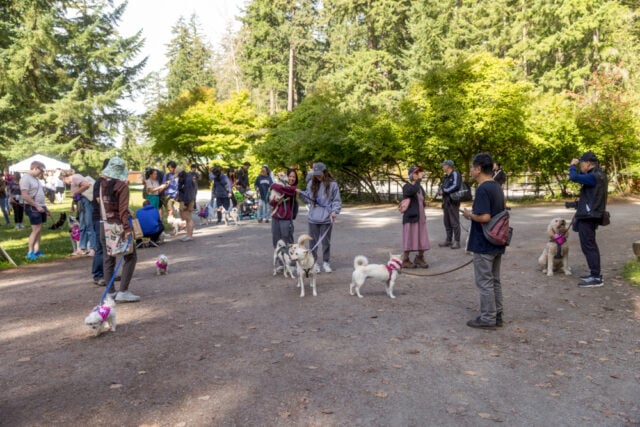 Vancouver Freedom Walk 2024